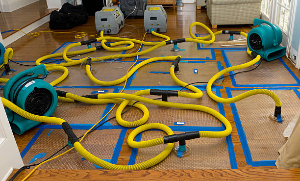 Professional Water Extraction technician working in Hebron, NE